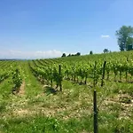 Alojamento de Turismo Rural Le Tre Rose - Cantina Zanello