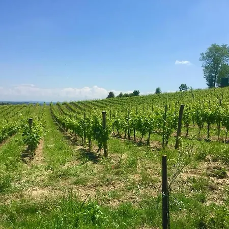 Farm stay Le Tre Rose - Cantina Zanello