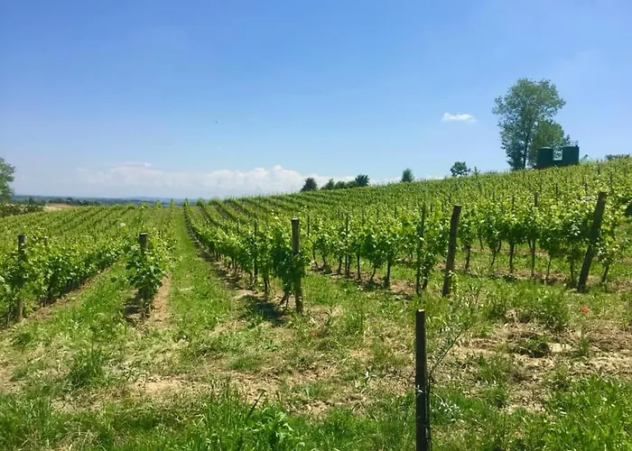 Farm stay Le Tre Rose - Cantina Zanello