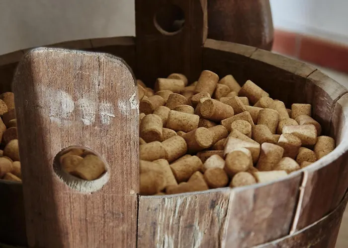 Le Tre Rose - Cantina Zanello Farm stay *